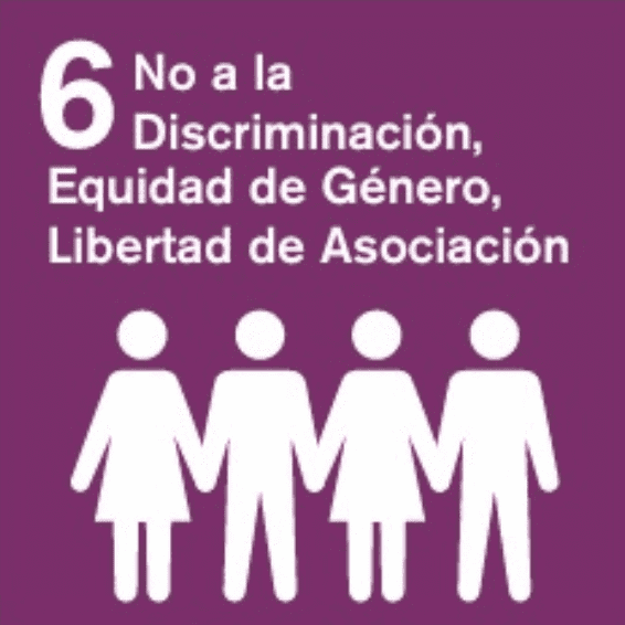 No a la Discriminación, Equidad de Género, Libertad de Asociación